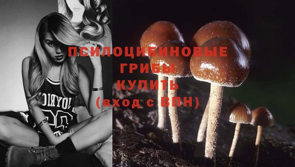 каннабис Алзамай